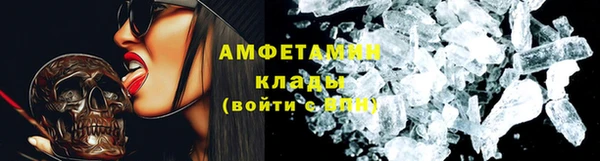 стаф Дмитриев