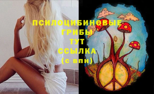 гидропоника Дмитров