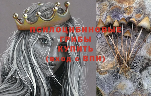 стаф Дмитриев