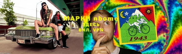 стаф Дмитриев
